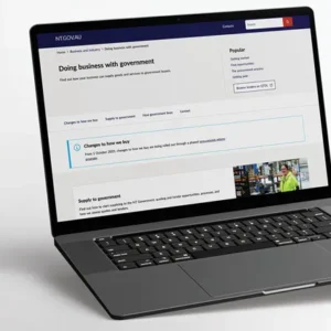 Website review and recommendations for the Northern Territory Government procurement website, including navigation and content structure improvements.