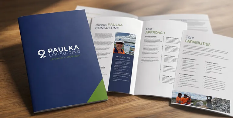 Capability statement design for Paulka Consulting showing cover and internal page layouts
